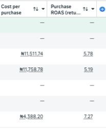 Meta Ads reporting sample showing cost per purchase and purchase ROAS values above 5x and 7x