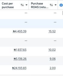 Meta Ads reporting sample showing purchase ROAS values above 9x, 10x, and 15x